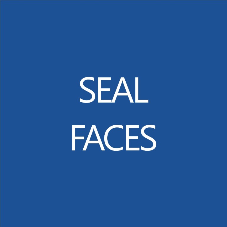 Seal Faces